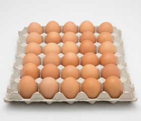 Eggs in paper tray isolated on white