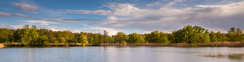 Fototapeta premium Biosphärenreservat Oberlausitzer Heide- und Teichlandschaft- Teichgebiet Mönau