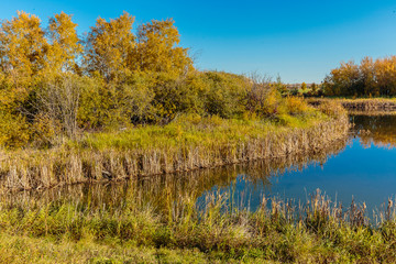 Donna L. Birkmaier Park