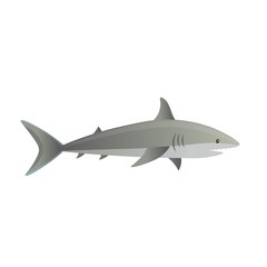 Fototapeta premium Cartoon shark on a white background. Vector illustration
