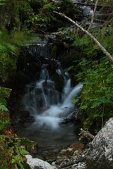 waterfall in the forest