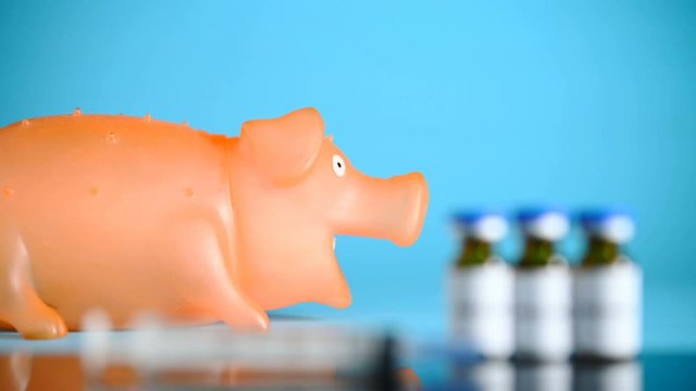 focus changing from swine to syringe and vaccine