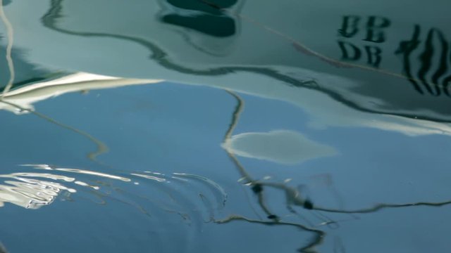 Insect skimming on water with reflection of boat.