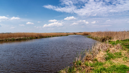 Rzeka Narew. Kładka przez Dolinę Narwi. Polska Amazonia, Podlasie, Polska