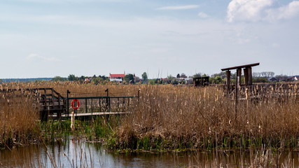 Rzeka Narew. Kładka przez Dolinę Narwi. Polska Amazonia, Podlasie, Polska © podlaski49