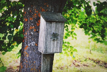 Wooden mail-box in the countryside
