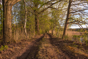 Biosphärenreservat Oberlausitzer Heide- und Teichlandschaft- Teichgebiet Mönau/Boxberg