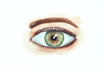 Watercolor drawing of the eye isolated on the white background. Illustration of green and gray eye