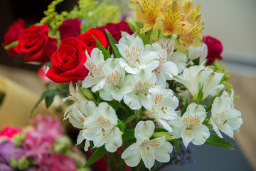 Valentines Day background, wedding day. Blooming red roses flower over blured hexagon bokeh background.