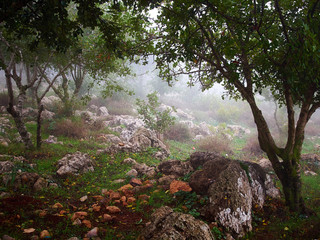 Mount Precipice in Nazareth in the Galilee region in  Israel