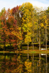 Fototapeta na wymiar Autumn colored trees reflection on water