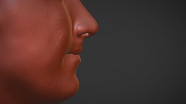 Lips Nose Skin detail 3D paint. Head Sculpt. Face High resolution polygons CGI Animation computer generated graphics. Isolated close-up.
 - Powered by Adobe