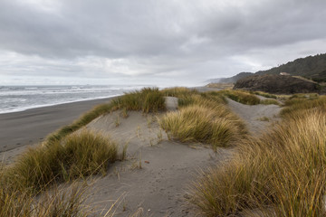 Fototapeta na wymiar Coastal landscape in southern Oregon