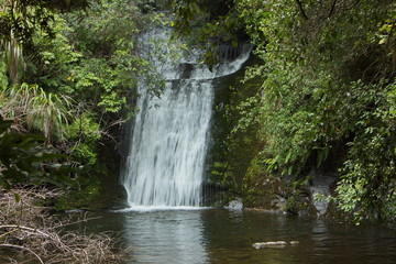 Fototapeta na wymiar Waterfall on Hinerau Track at Lake Waikaremoana,Hawke's Bay on North Island of New Zealand 
