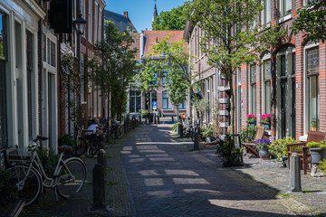 Haarlem, Netherlands - May 2017: a quiet leafy street in Haarlem
