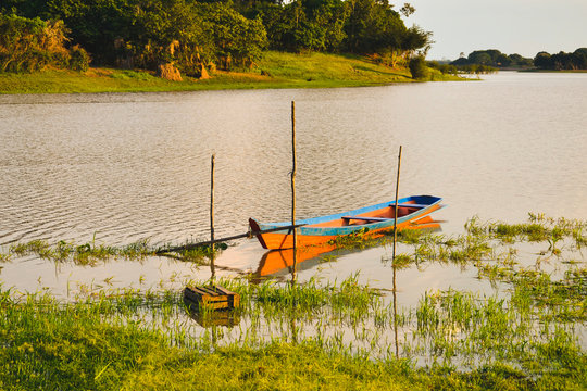 Boat on the Lake (Canoa no Lago Aninga)