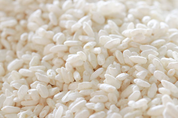 Japanese traditional sushi. It is a fresh ingredient.