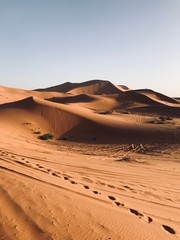 Fototapeta na wymiar sand dunes in the Sahara 