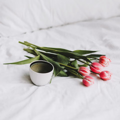 Coffee cup and tulips in bed. Concept of holiday, birthday, Women Day. Breakfast in bed. Good morning. still life, flat lay