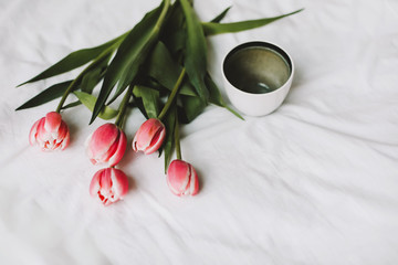 Coffee cup and tulips in bed. Concept of holiday, birthday, Women Day. Breakfast in bed. Good morning. still life, flat lay
