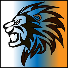 the head of a male lion