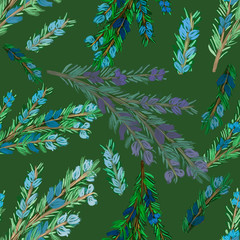 Rosemary branches with blue flowers. Watercolor seamless pattern. Spices, cooking herbs, kitchen, packaging, wallpaper, textile, fabric design