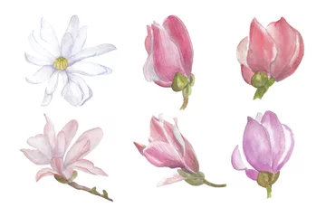 Fototapete Magnolie Aquarell von Hand gezeichnet von Magnolienblumensammlung auf weißem Hintergrund
