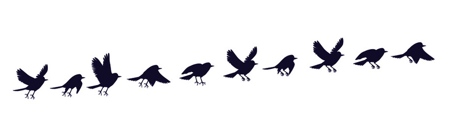 A set of silhouettes of a flying city bird. Full cycle animation of a pigeon or sparrow. Sprites for motion design.