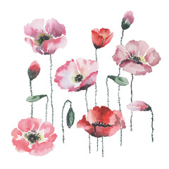 Set of red and pink poppies flowers with stems and green buds on a white background. Illustration can be used for postcards, banners, textiles, prints. Watercolor.