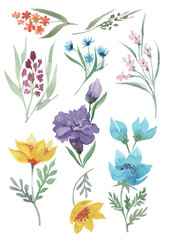 Set with decorative yellow, lilac, blue flowers, branches with small flowering plants and green leaves. Isolated elements on a white background for design. Watercolor.