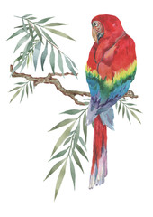 A red parrot sits on a branch with tropical green leaves. Vertical postcard, print, wallpaper, banner, textile. Watercolor.