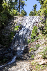 The Wilson River flows through the jungle and forms a small waterfall, Western Australia