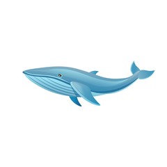 Cartoon whale on a white background. Vector illustration © NADEZHDA