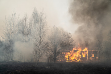 ZHYTOMYR REGION, VILLAGE LIUDVYNIVKA, UKRAINE - APRIL 18, 2020. Burning wooden house during forest...