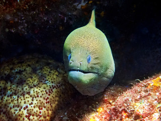 Traveling on the seabed of Thailand