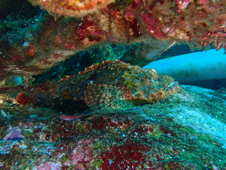Traveling on the seabed of Thailand