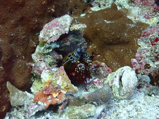 Traveling on the seabed of Thailand
