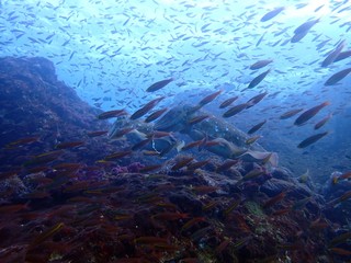 Traveling on the seabed of Thailand