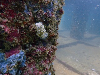 Traveling on the seabed of Thailand