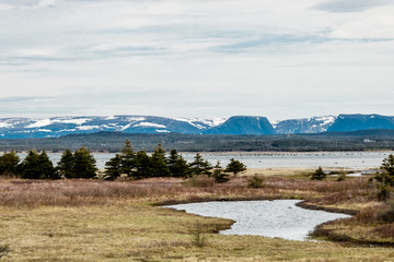 Views from the roadside. Gros Morne National Park, Newfoundland, Canada