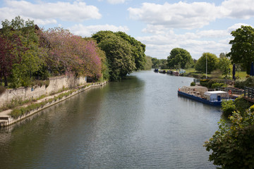 Obraz premium Views of The Thames in Abingdon, Oxfordshire, UK