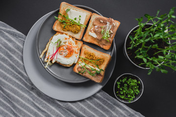 Variety of sandwiches for breakfast, snack, appetizers with fried egg, peanut paste, pea microgreen. Flat lay, top view