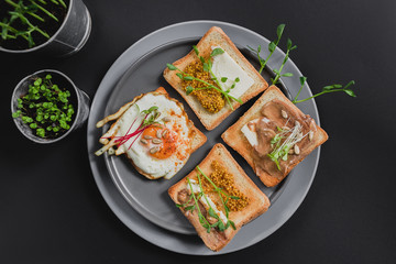 Variety of sandwiches for breakfast, snack, appetizers with fried egg, peanut paste, pea microgreen. Flat lay, top view