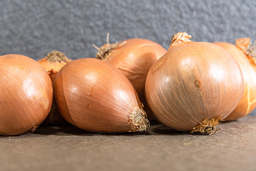 Bulbs of onions (Allium cepa) on concrete background