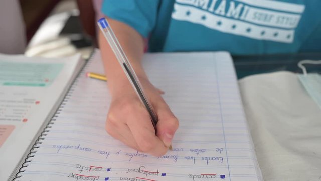 11 Year Old Boy Studying At Home