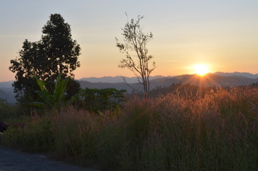 Fototapeta na wymiar sunset in Thailand
