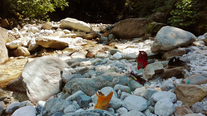 day on the rocks and small stones in a wooded clearing in the cool