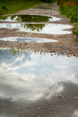rural scene