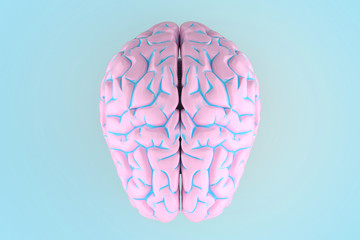 3d illustration of human brain