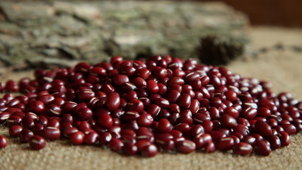 Closeup of bunch of organic red beans, spring seeds, blurred background